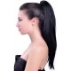 Claw/jaw clip in ponytails 24" straight