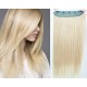 24˝ one piece full head clip in kanekalon weft extension straight – platinum